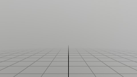 Skeleton Estimation
